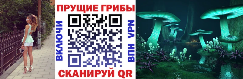 Псилоцибиновые грибы Cubensis  Ростов 
